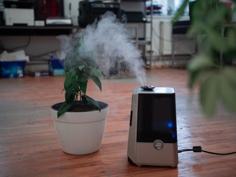 Fix Your Humidifier at Home